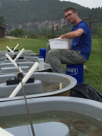 /ARSUserFiles/49035/JT buffalo river study.jpg